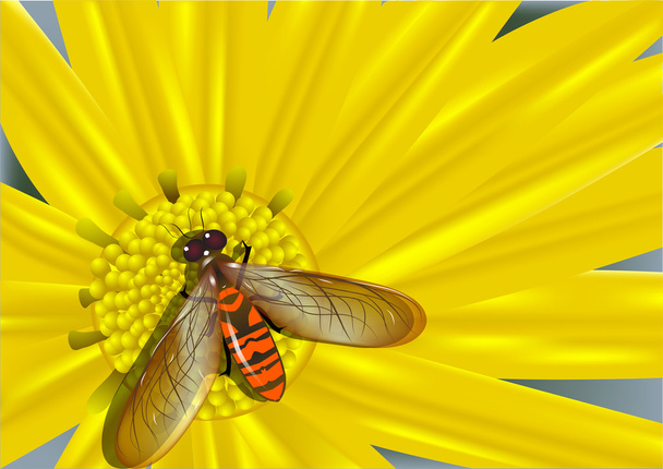 yellow flower and colored fly - Vector, Image