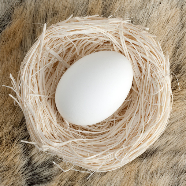 Велике яйце в маленькому гнізді
 - Фото, зображення