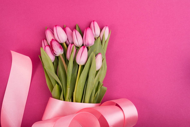 Pink Tulips, Beautiful and gentle in the banner design with a pink background. Spring seasonal holidays backdrop. - Foto, afbeelding