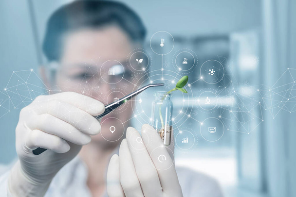 Laboratory worker conducts research with a plant sample on a blurred background. - Zdjęcie, obraz