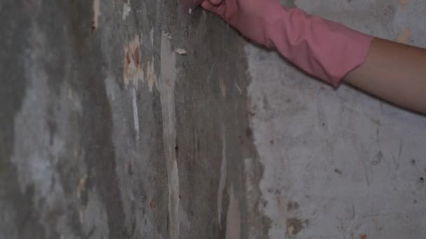 cleaning the wall from old wallpaper - Filmagem, Vídeo