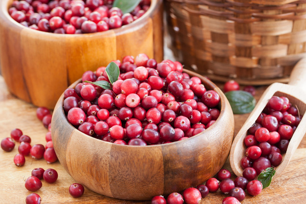 Fresh red cranberry  - Photo, image