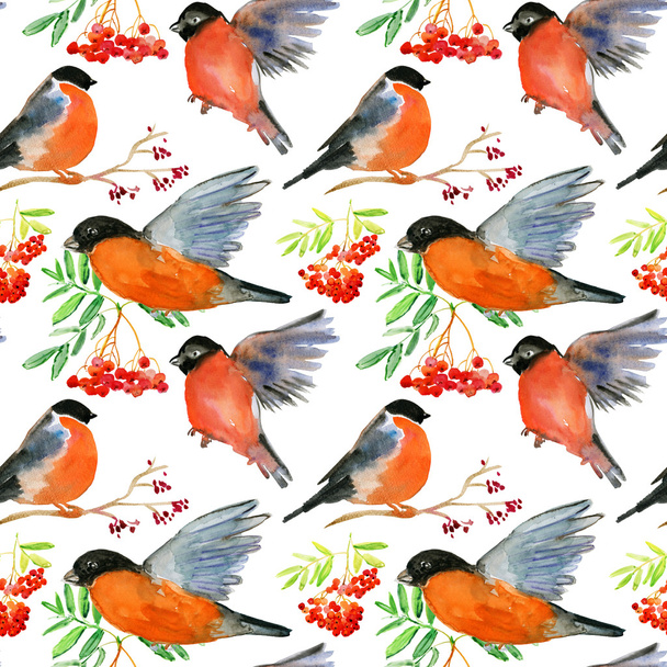 水彩の手描きの鳥とのシームレスなパターン - 写真・画像