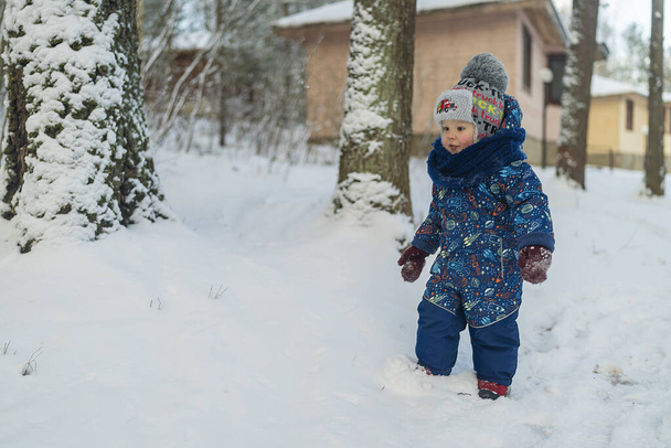 little boy walk winter in the snowy forest. - Фото, изображение