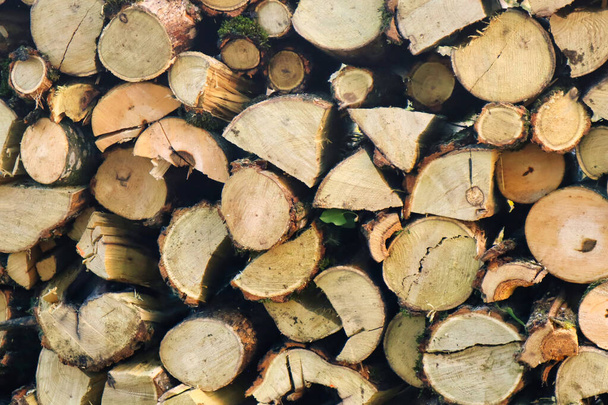 σωρός από φόντο υφής ξύλου - Φωτογραφία, εικόνα
