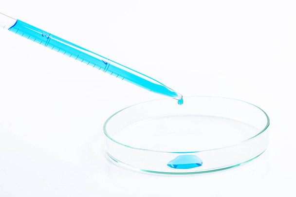 Laboratory pipette filled with blue liquid and resulting chemical solution on Petri dish for a biology experiment in his laboratory. Blue liquid in petri dish. Laboratory concept. - Photo, image