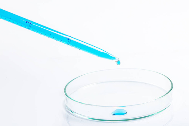 Pipeta de laboratorio llena de líquido azul y solución química resultante en la placa Petri para un experimento de biología en su laboratorio. Líquido azul en placa de Petri. Concepto de laboratorio. - Foto, imagen