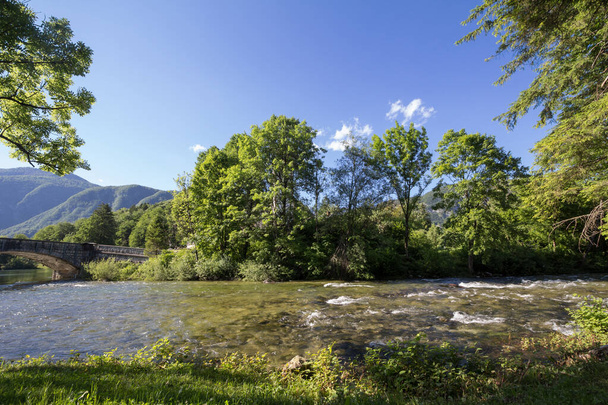 Rivière alpine typique, la Sava Bohinjka, à Ribcev laz, dans le lac Bohinj, slovenia, dans les Alpes juliennes, avec de l'eau qui coule au milieu des pins par les monts et les montagnes du parc national du Triglav - Photo, image