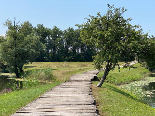 Jasenovac Memorial Site o Jasenovac contrentration camp Memoriales (Spomen podrucje Jasenovac ili Spomen-podrucje bivseg koncentracijskog logora III Ciglana Jasenovac - Hrvatska) - Foto, Imagen
