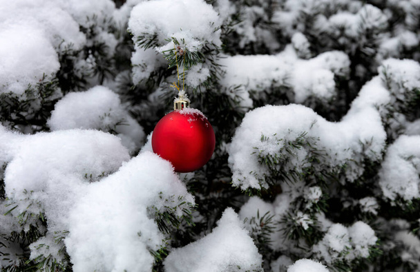 Arbre de Noël extérieur recouvert de neige avec pendaison unique ornement rouge et or pour le concept de vacances Joyeux Noël ou Bonne année   - Photo, image