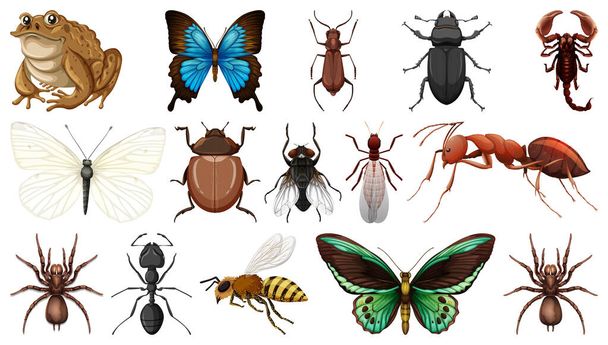 Verschillende insecten collectie geïsoleerd op witte achtergrond illustratie - Vector, afbeelding