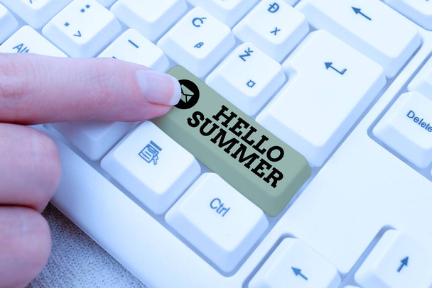 Handwriting text Hello Summer. Business concept Welcoming the warmest season of the year comes after spring Connecting With Online Friends, Making Acquaintances On The Internet - Foto, Bild
