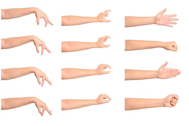 Set di gesti mano donna isolato su sfondo bianco. - Foto, immagini