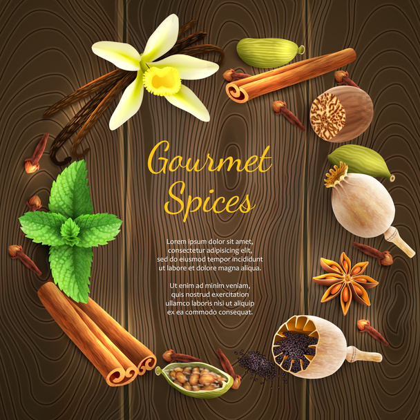 Spices on dark background - Vector, Image
