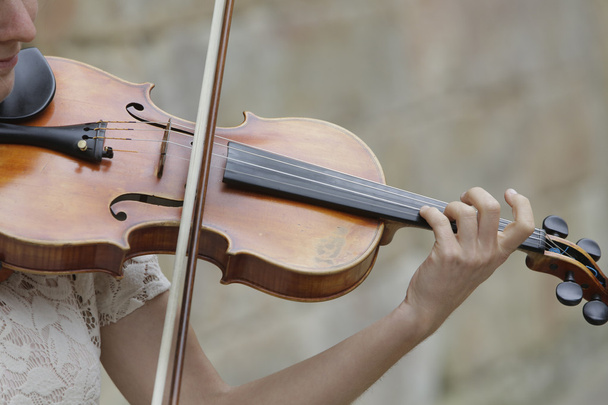 violin player - Photo, Image