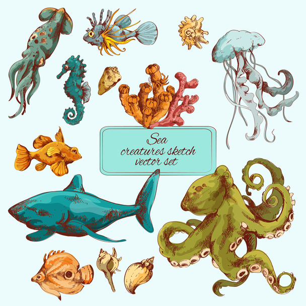 πλάσματα της θάλασσας σκίτσο χρώματος - Διάνυσμα, εικόνα