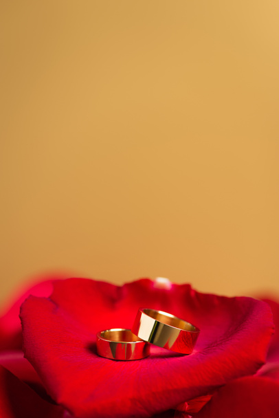 golden wedding rings on red rose petals isolated on yellow - Photo, Image