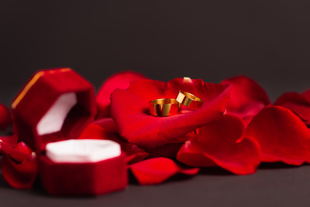 anéis de casamento dourados em pétalas de rosa vermelha perto da caixa de jóias borrada no cinza - Foto, Imagem