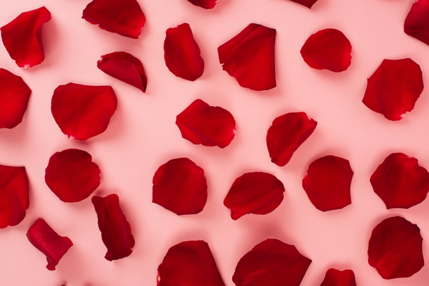 vista superior de pétalos de rosa roja sobre fondo rosa  - Foto, Imagen