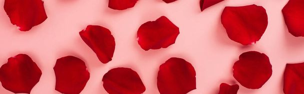 vista superior de pétalas de rosa vermelha no fundo rosa, banner - Foto, Imagem