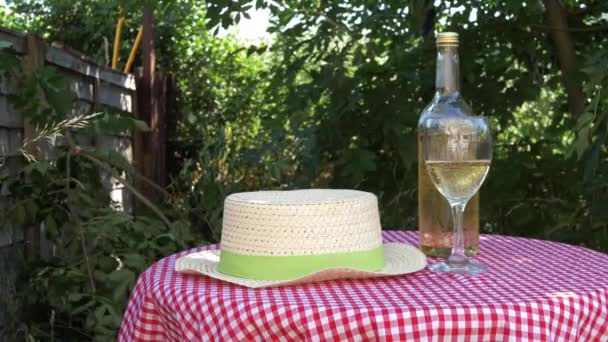 Mesa de picnic y vino blanco en el jardín con cubierta de gingham rojo - Imágenes, Vídeo
