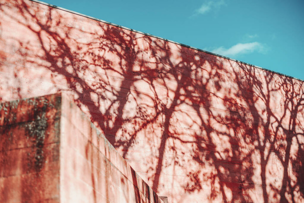 A concrete textured wall of a red building lit by the morning sun with graphical beautiful and contrast shadows from the trees on it on a warm bright day with the clear sky; shallow depth of field - Фото, зображення
