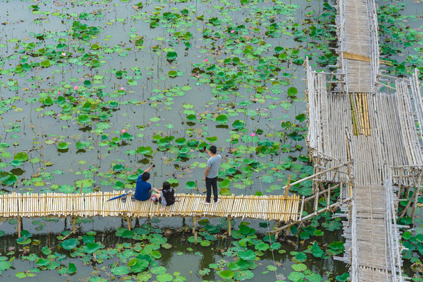 Top widok azjatyckich turystów cieszyć robienie zdjęć na bambusowym moście nad rzeką z wielu lotosów. Szczęśliwa para spędzająca razem czas na zewnątrz, w wodnej naturze. Widok z widokiem na ludzi ze stawem lotosowym. - Zdjęcie, obraz