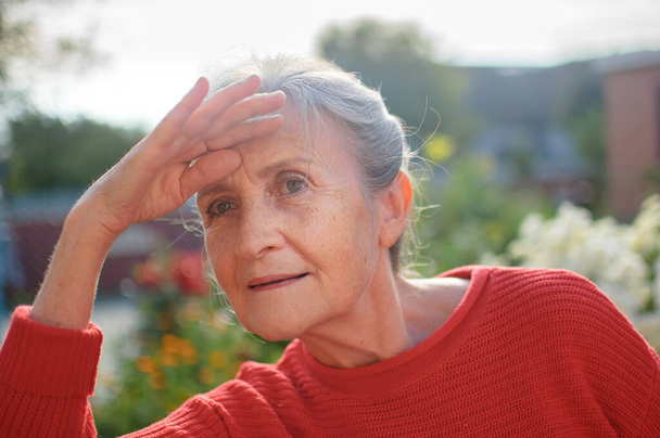 Portret van oudere vrouw met grijs haar en gezicht met rimpels in rood gebreide trui en ontspannen in het park tijdens zonnige dag en op zoek naar iemand - Foto, afbeelding