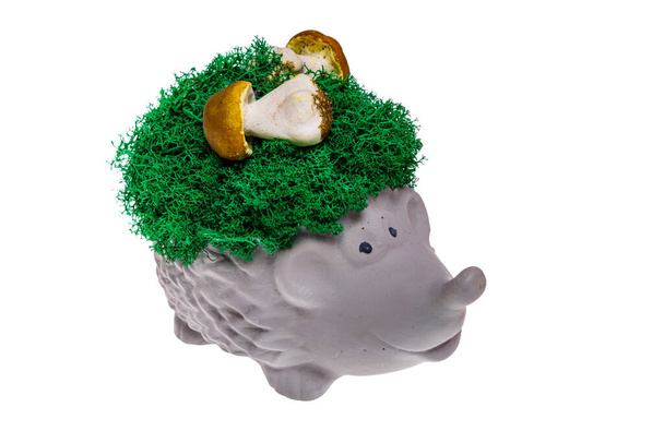 A vase in the shape of a hedgehog with real green moss, isolated - Φωτογραφία, εικόνα