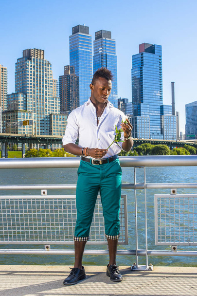 City Love. Wearing a white shirt,  green pants, leather shoes,  a young black guy with mohawk hair is standing in the front of buildings, looking at a white rose on his hands into deeply thinking - Photo, Image