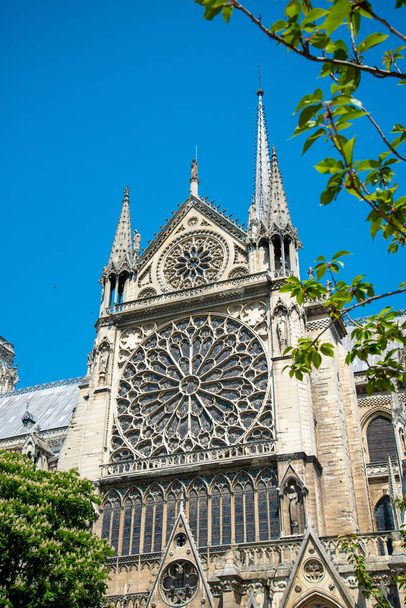 Raam Rosette van het zuidelijk transept van buiten, Parijs, Frankrijk - Foto, afbeelding