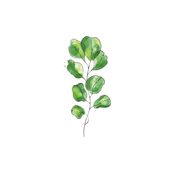 Green Watercolor Plant - Vector, Image