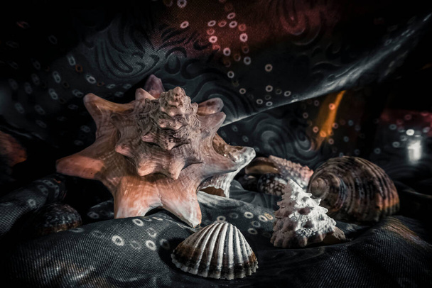 sea pearl in the center of the frame, stones and shells lying on a marble background, composition of sea stones and seashells, marine composition, composition of seashells, jellyfish - Fotografie, Obrázek