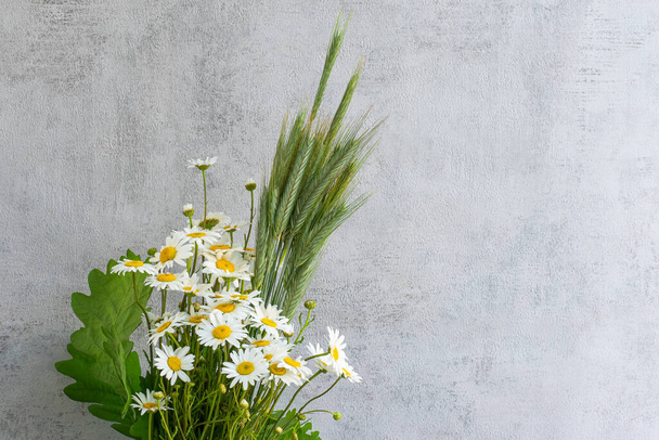 Letní kytice čerstvých polních heřmánků a zeleně na světle šedém pozadí - Fotografie, Obrázek