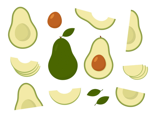 Avocado fruit set. Healthy food symbol. Slices, whole and half avocado. Vector isolated on white. - Vector, afbeelding