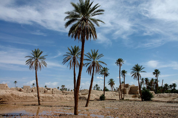 Tafilalet et Rissani, sud-est du Maroc - Photo, image