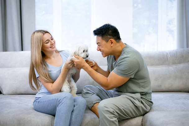 Young happy positive married couple charming woman and young man all sit on the sofa next to their beloved dog. Paying with a puppy maltese - Foto, immagini