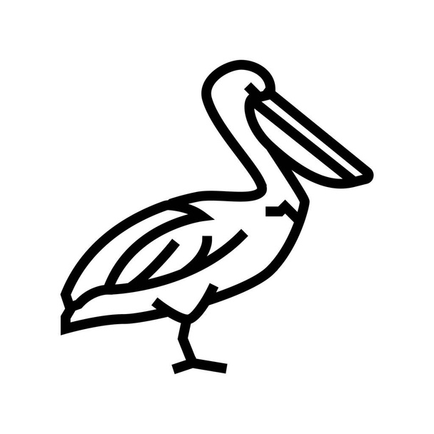 pelikán divoký pták linie vektorové ilustrace - Vektor, obrázek