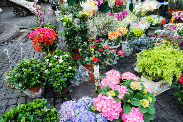 Street flower shop with colourful flowers - 写真・画像