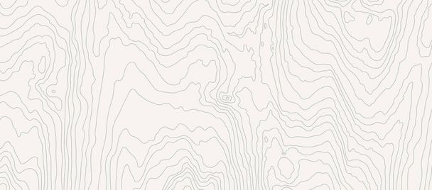 Wooden white wavy pattern. Tree fiber, wood grain texture. Dense lines. Abstract topographic background. Vector illustration - ベクター画像