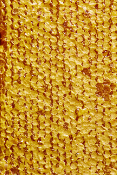 yellow and orange glitter texture background - Fotografie, Obrázek
