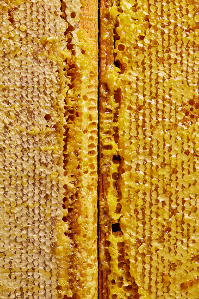 abstract background of golden yellow and gold - Φωτογραφία, εικόνα