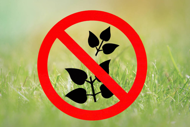 庭で植物を摘み取り、芝生を踏みつけることを禁止する赤い道路標識 - 写真・画像
