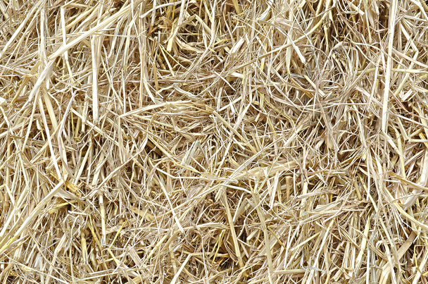 pirinç saman bükülmesini - Fotoğraf, Görsel