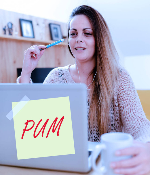 Koncepční titulek Pum. Business showcase nežádoucí změny, které mohou být provedeny legitimní aplikace Social Media Influencer Vytváření online přítomnosti, Video Blog nápady - Fotografie, Obrázek