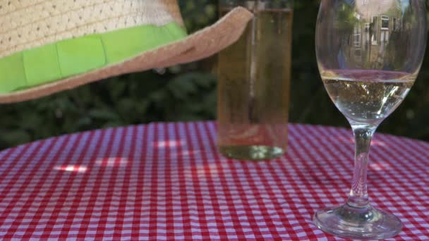 Stół piknikowy i białe wino w ogrodzie z czerwoną osłoną gingham - Materiał filmowy, wideo
