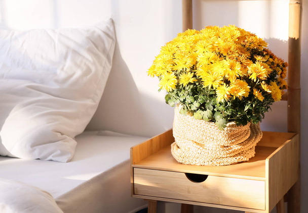 Belles fleurs de Chrysanthème sur la table de chevet dans la salle de lumière - Photo, image