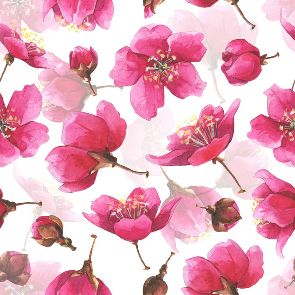 Hand drawn watercolor romantic seamless pattern with pink sakura flowers. - Фото, изображение
