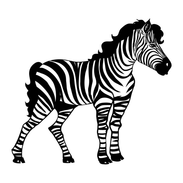 Closeup beautiful potrait Zebra looking at the camera isolated on white background, vector illustration for tattoo and printing - Вектор, зображення