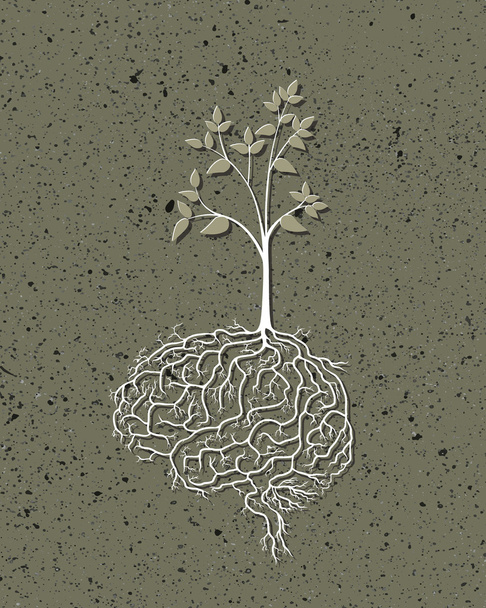 Planta joven con raíz cerebral
, - Vector, imagen